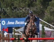 Wiering World Wide TosTour 2013- S5 7486 : Arezzo Equestrian Centre, Toscana Tour 2013, Wiering Harrie, World wide, foto di Stefano Secchi ©